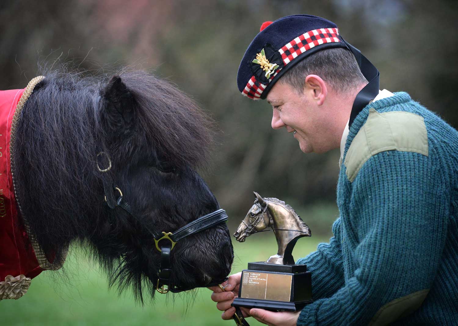 Regiment's Retired Shetland Pony Mascot Dies