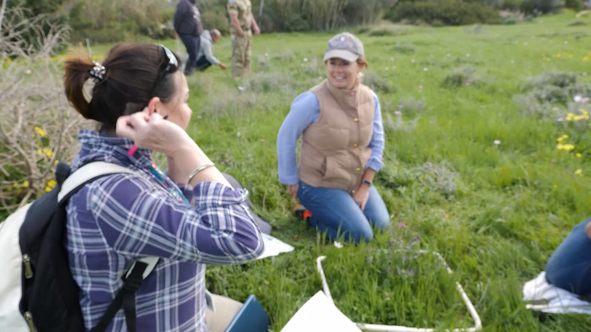 In a meadow just outside RAF Akrotiri, volunteers looked for insects and plants.