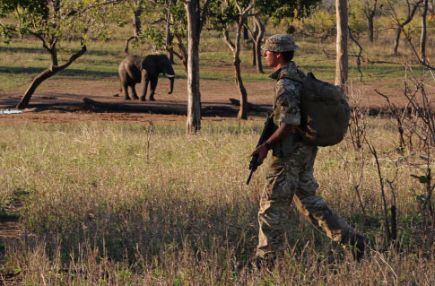 British soldier on patrol with park rangers in Malawi
