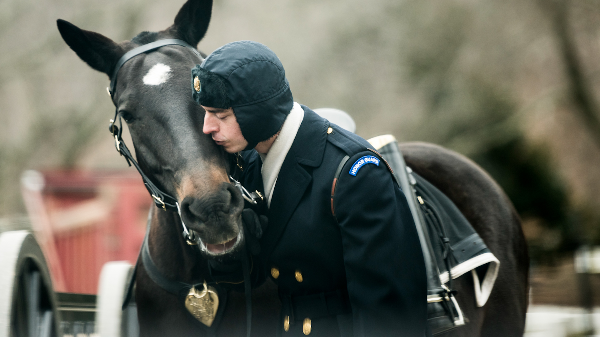 Horse and rider