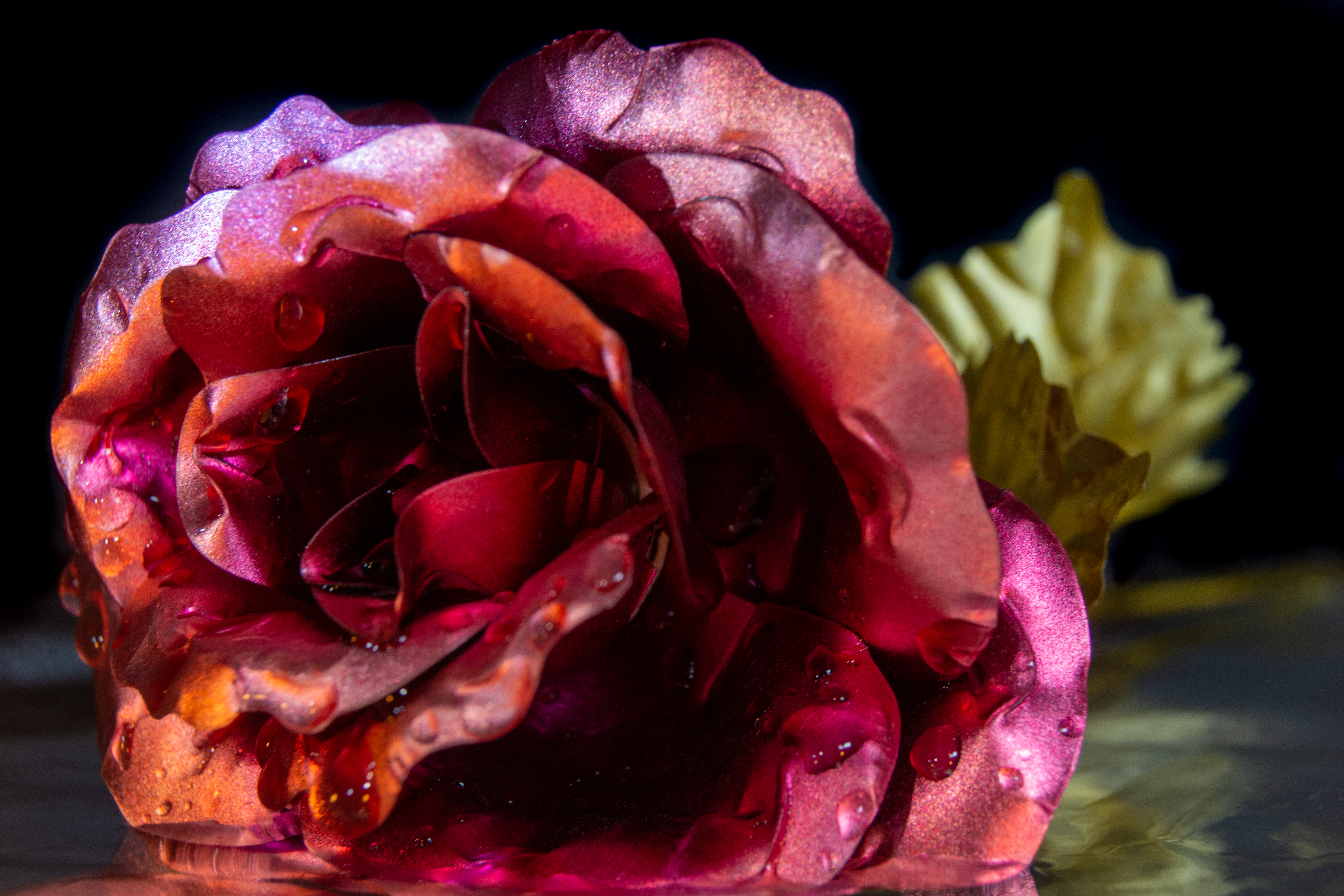 Dayne Roberts Fallen Rose 1.jpg (do not use again) 