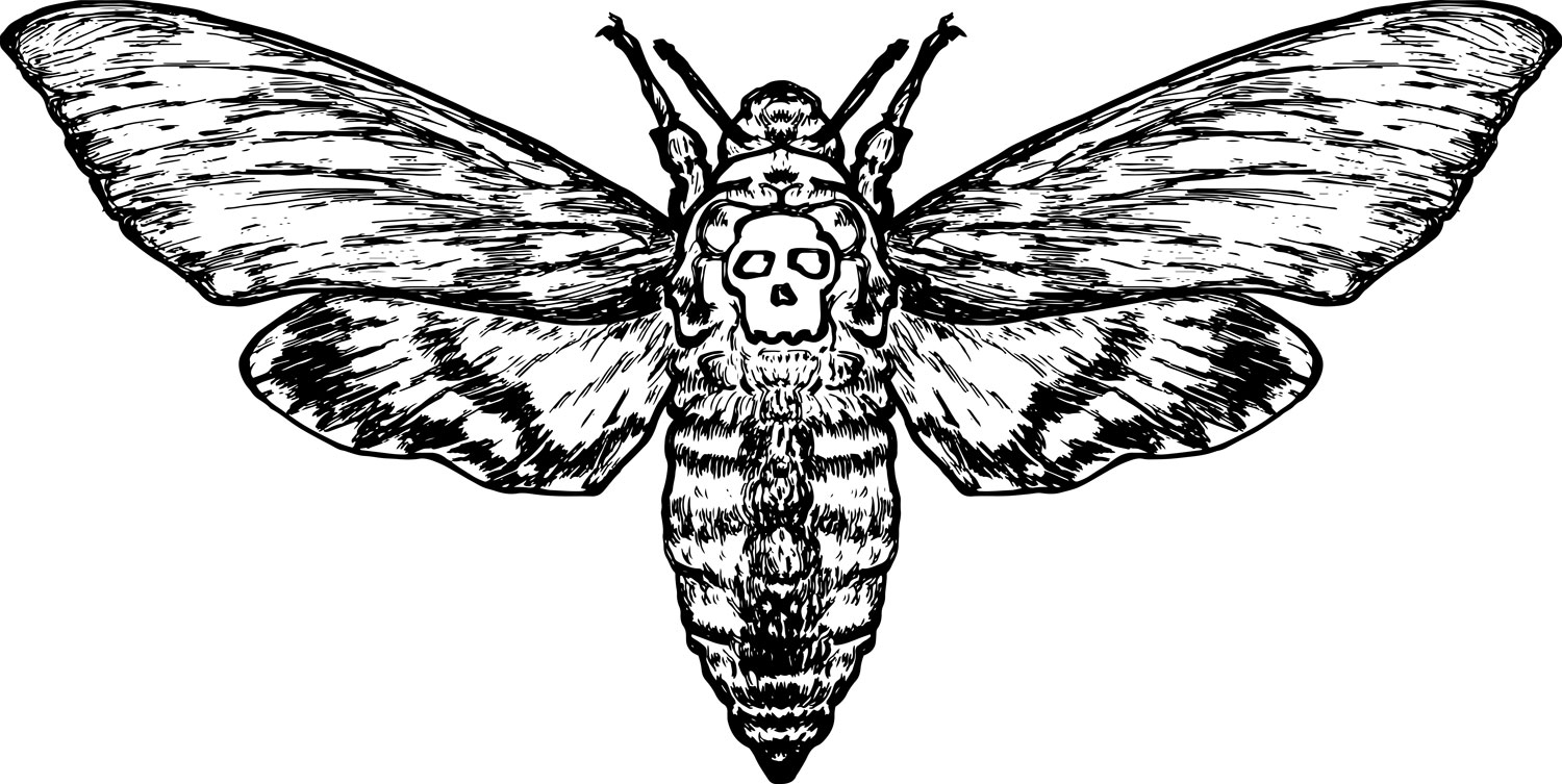 Death's-Head Hawkmoth Credit Shutterstock/Gwoeii