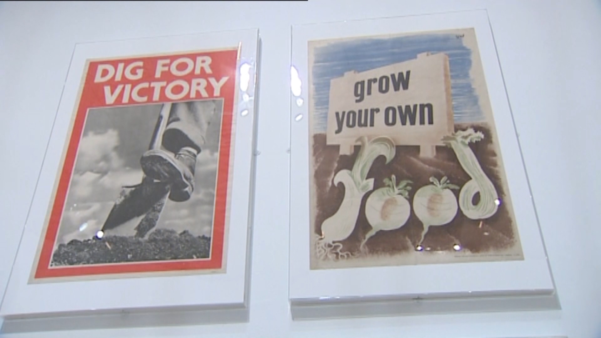 Dig For Victory posters