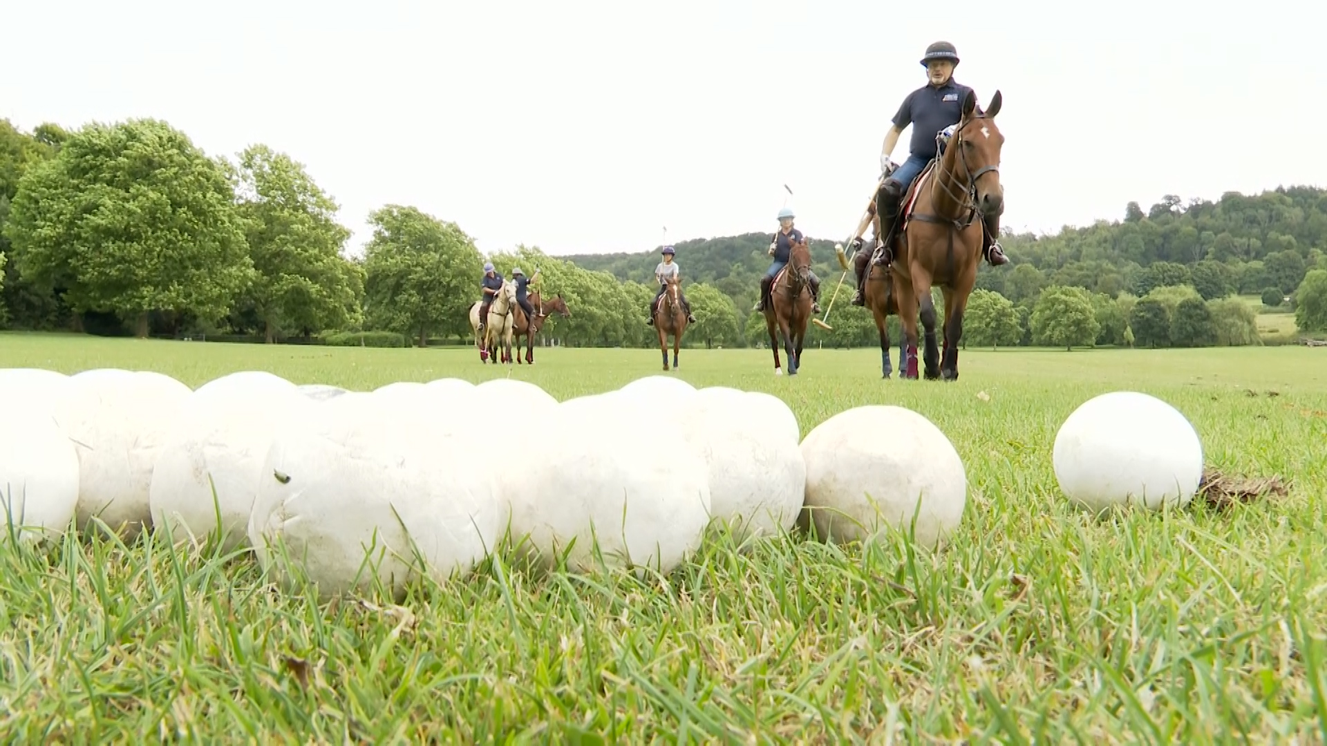  I'm not sure anyone on the committee might have guessed the answer would be polo diplomacy!