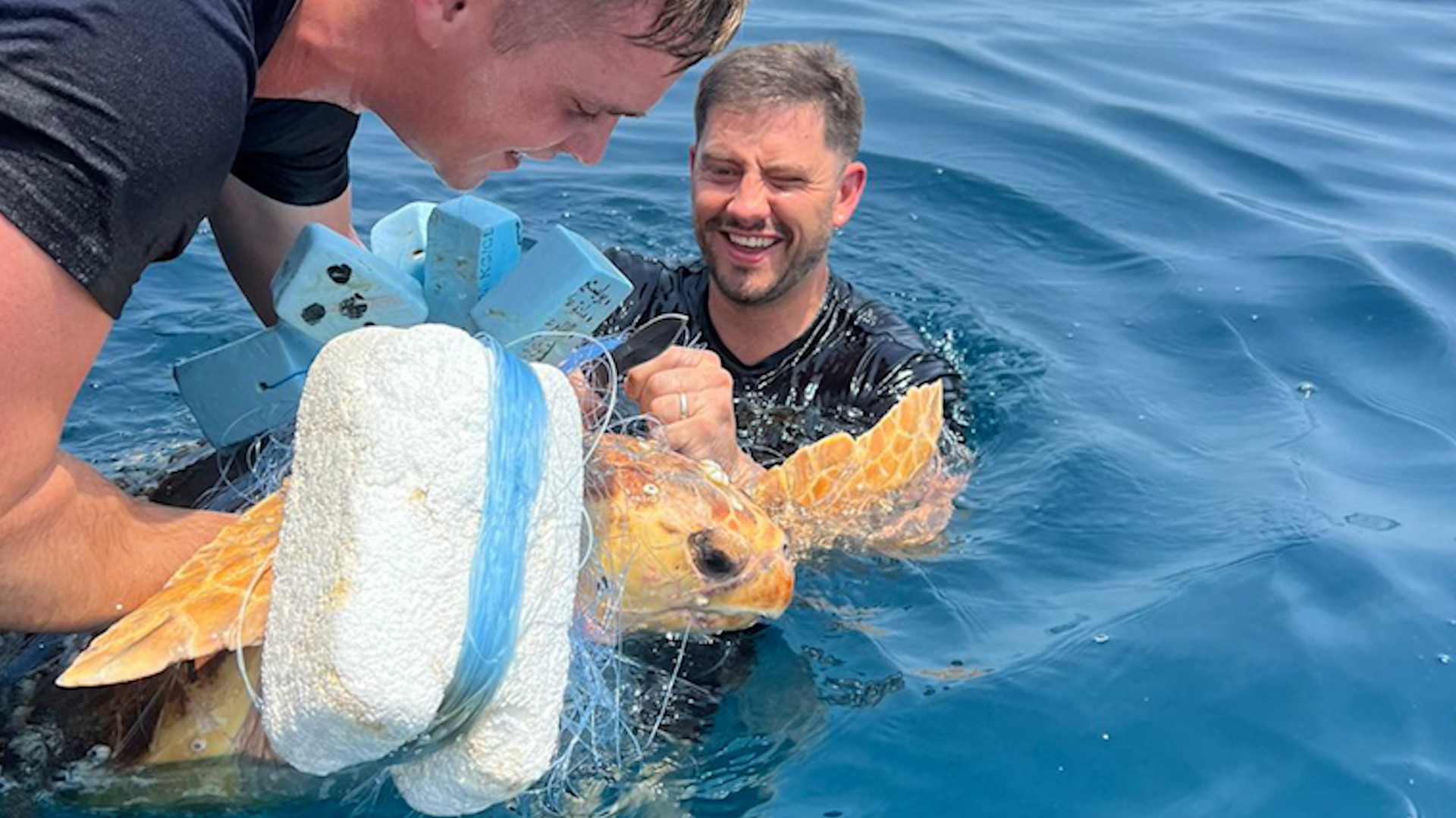 Divers Joe Musker, left, and Harry Thomas help the turtle free 01092023 CREDIT Royal Navy