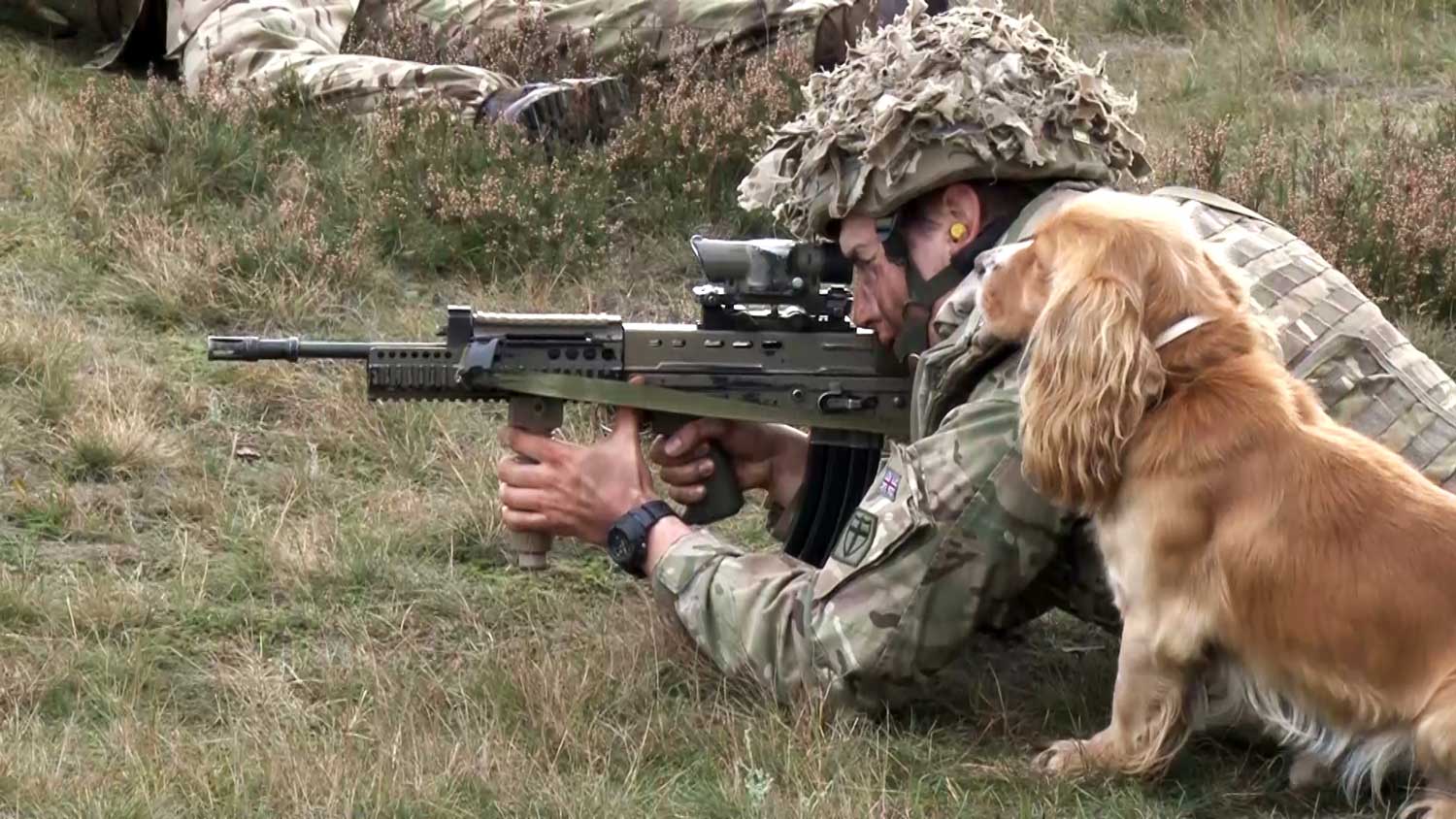 Military Working Dog - Anonymous