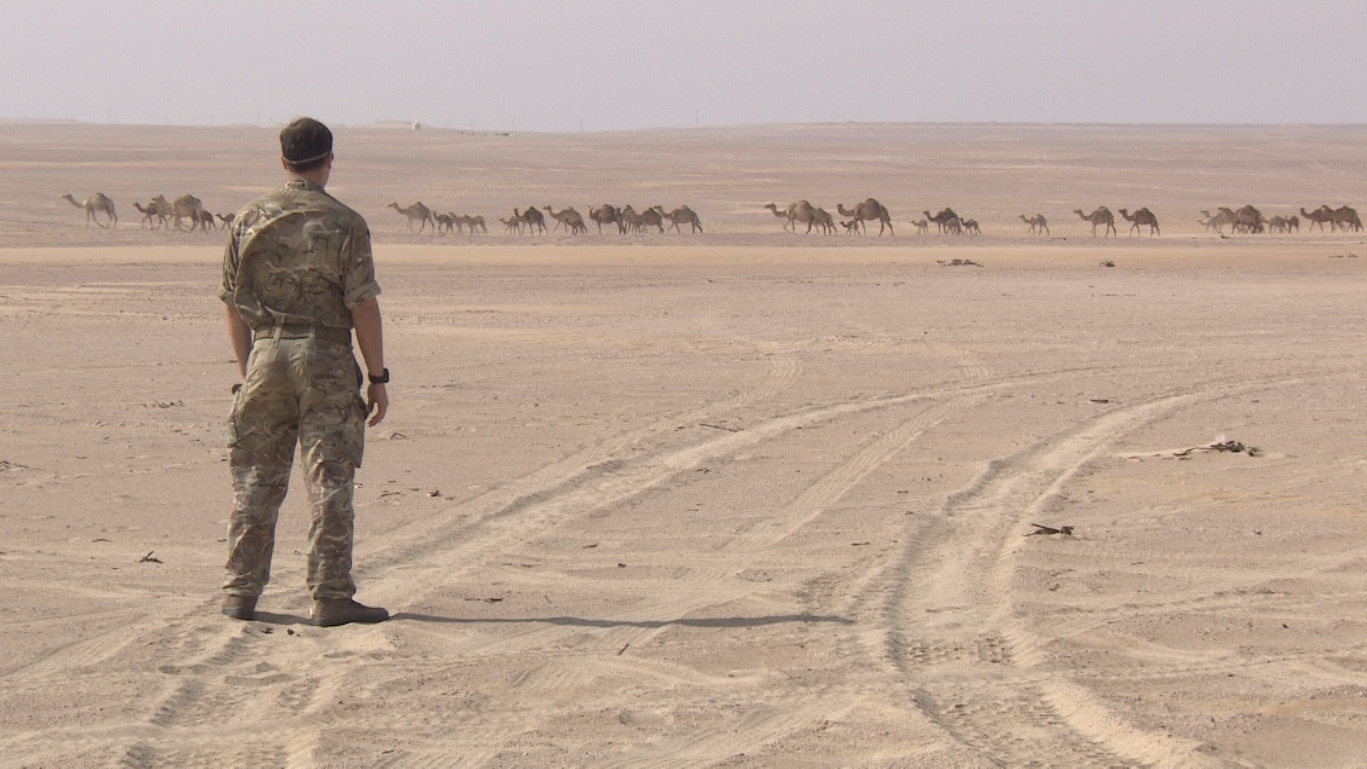 Dragoon Guards Desert Falcon