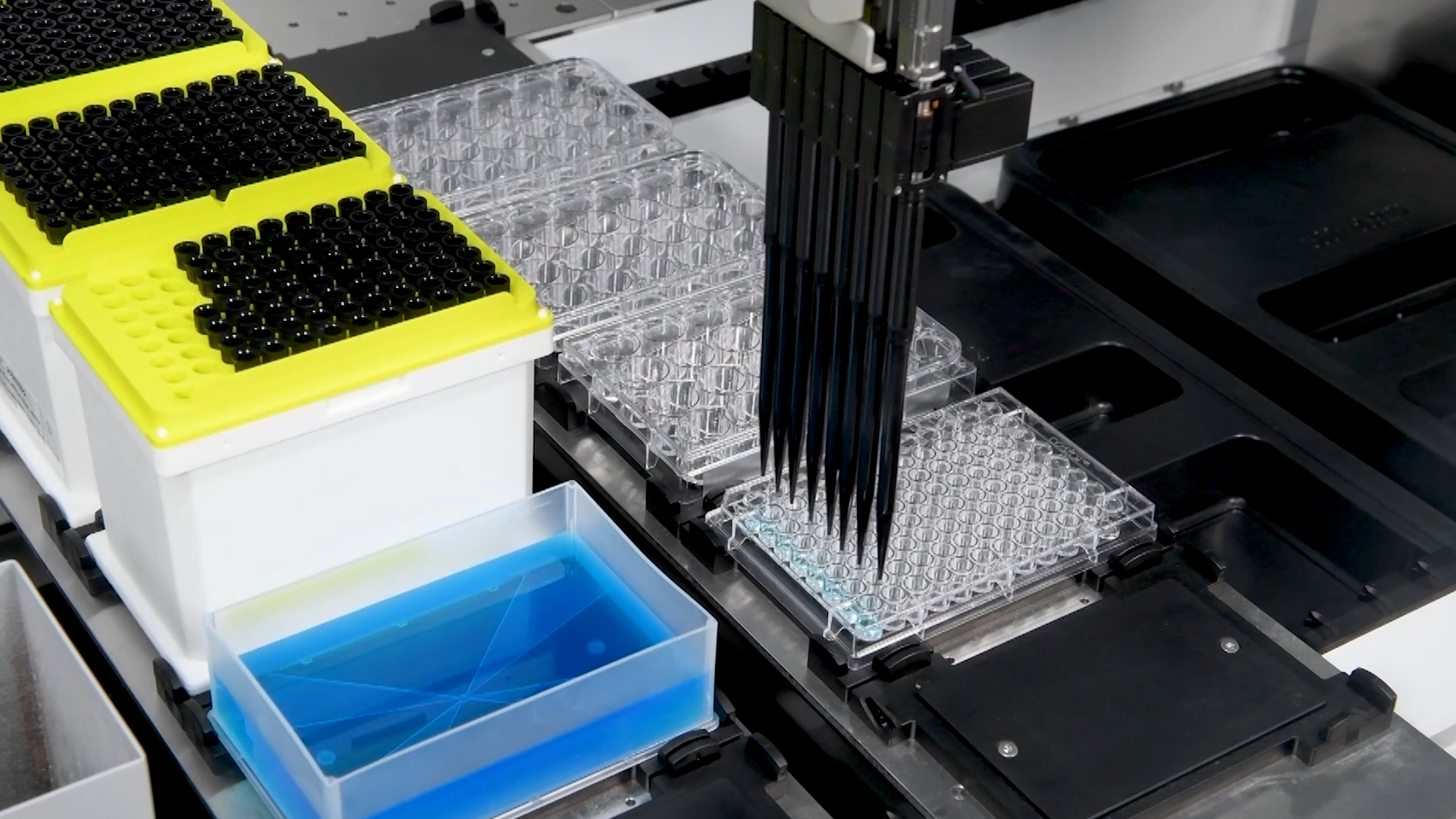 Scientists fire a whole plethora of existing drugs at it