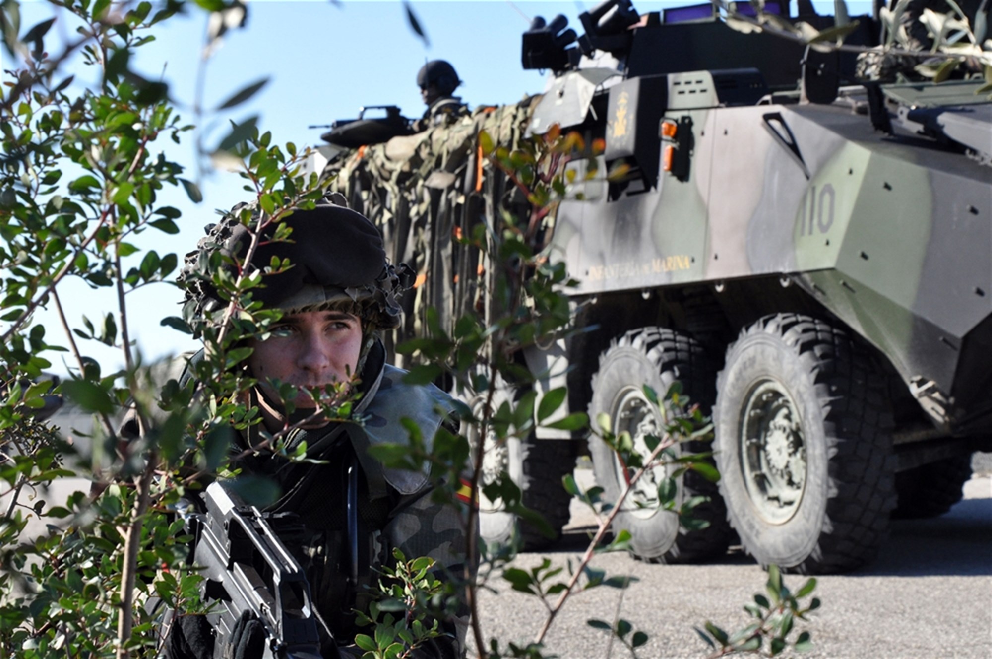 The Spanish Military: In Numbers