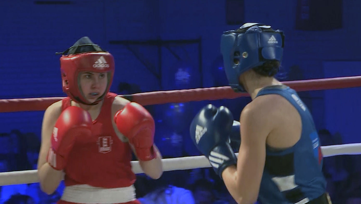 England vs military boxers, 2017
