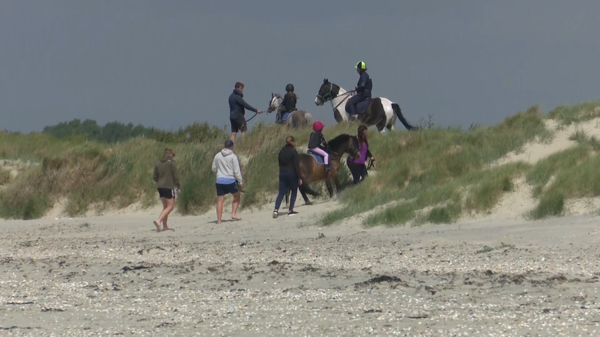 Equifest Horse Riding Beach