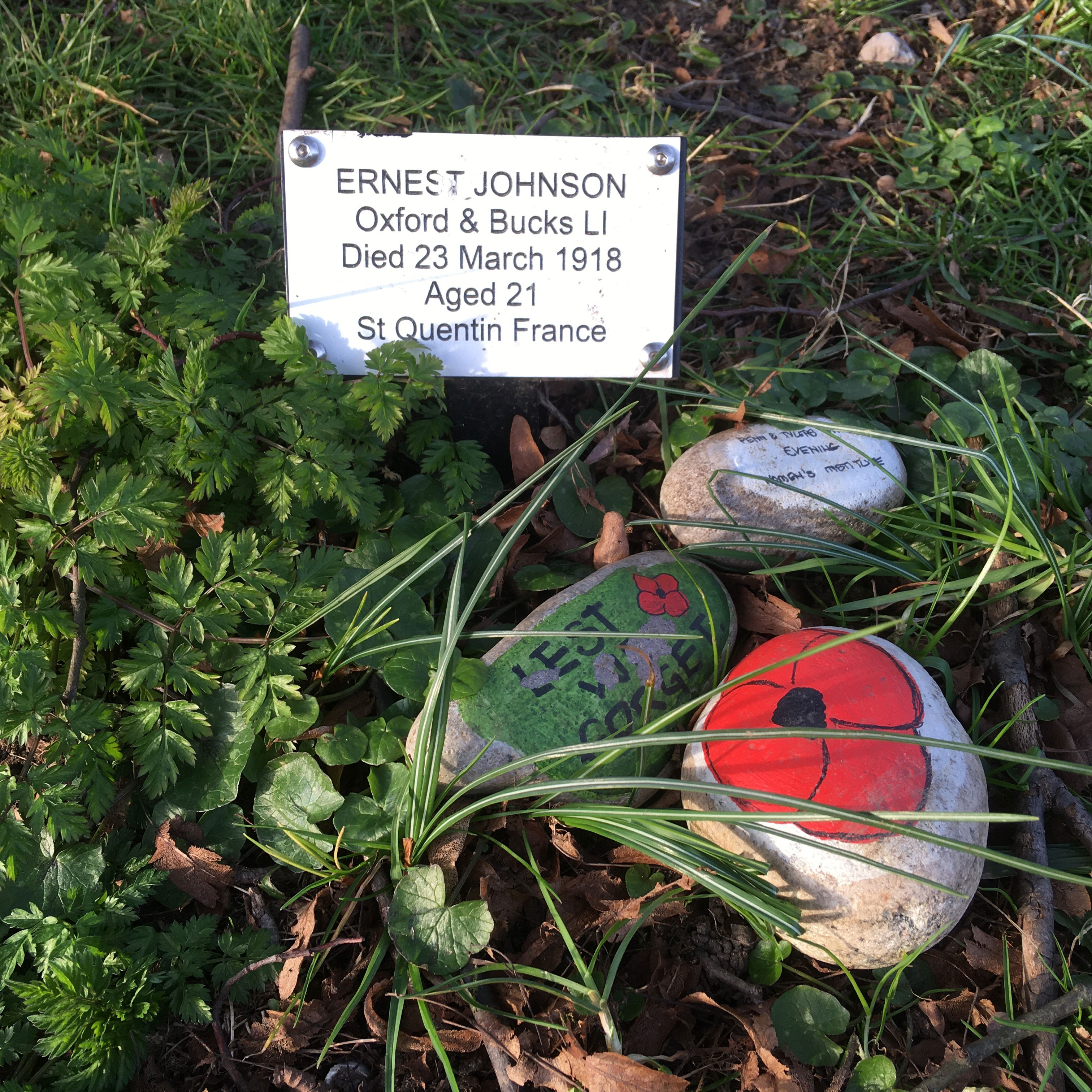 Plaque in front of world war 1 memorial tree in Tylers Green in Bucks