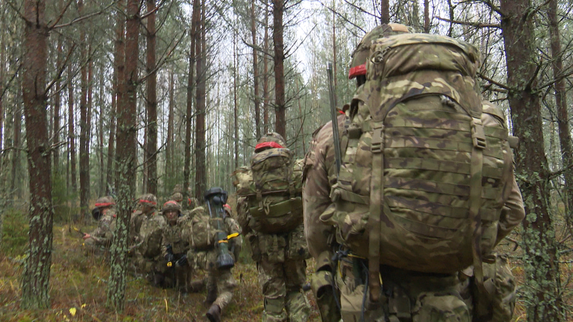 Out of the 44 countries in geographical Europe, how many have mandatory military service?