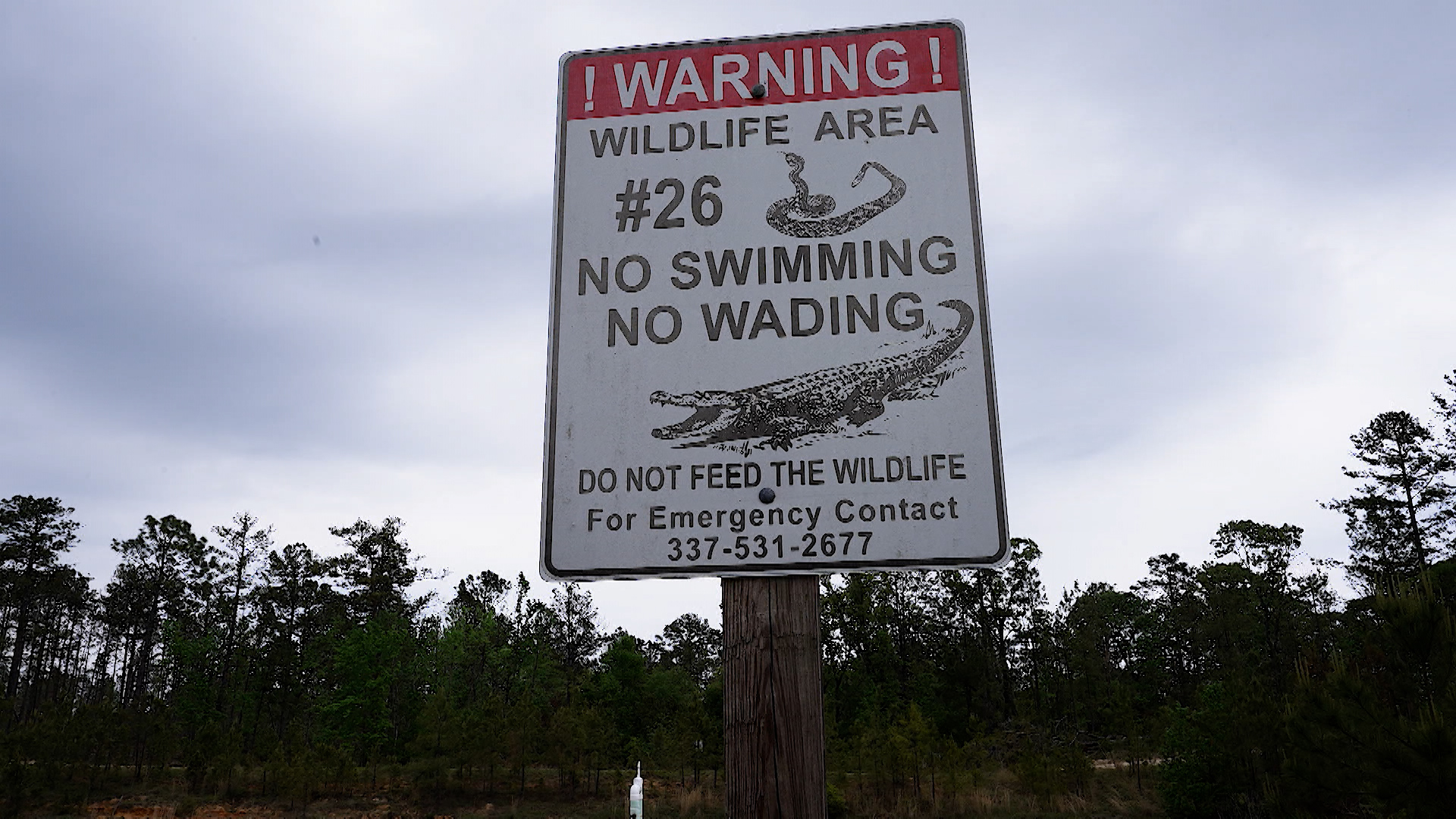 Ex Rattlesnake The Box Fort Polk Alligator Sign CREDIT BFBS