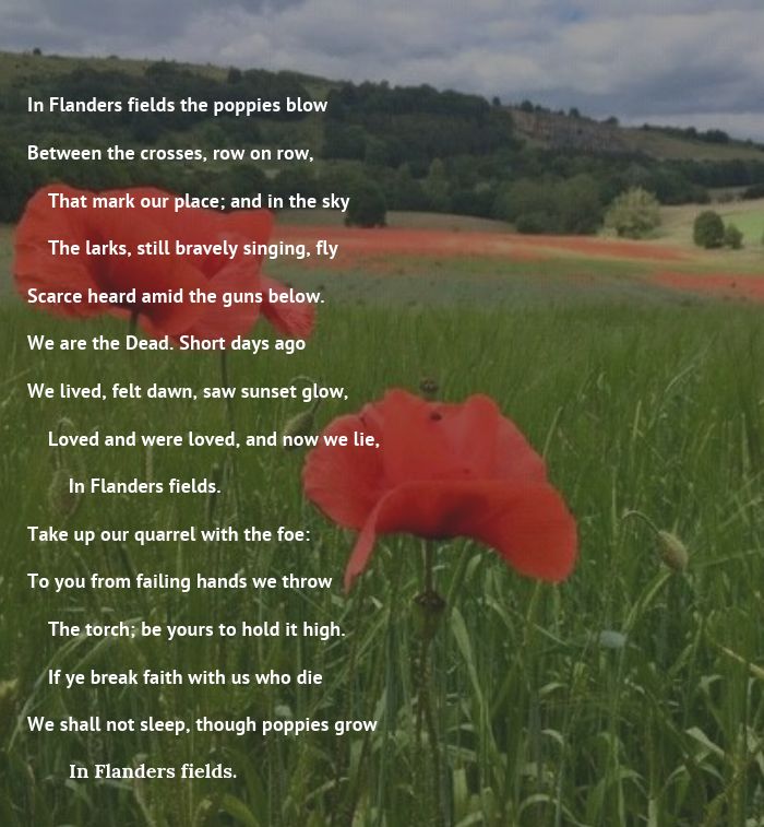 In Flanders Field poem graphic. BFBS copyright