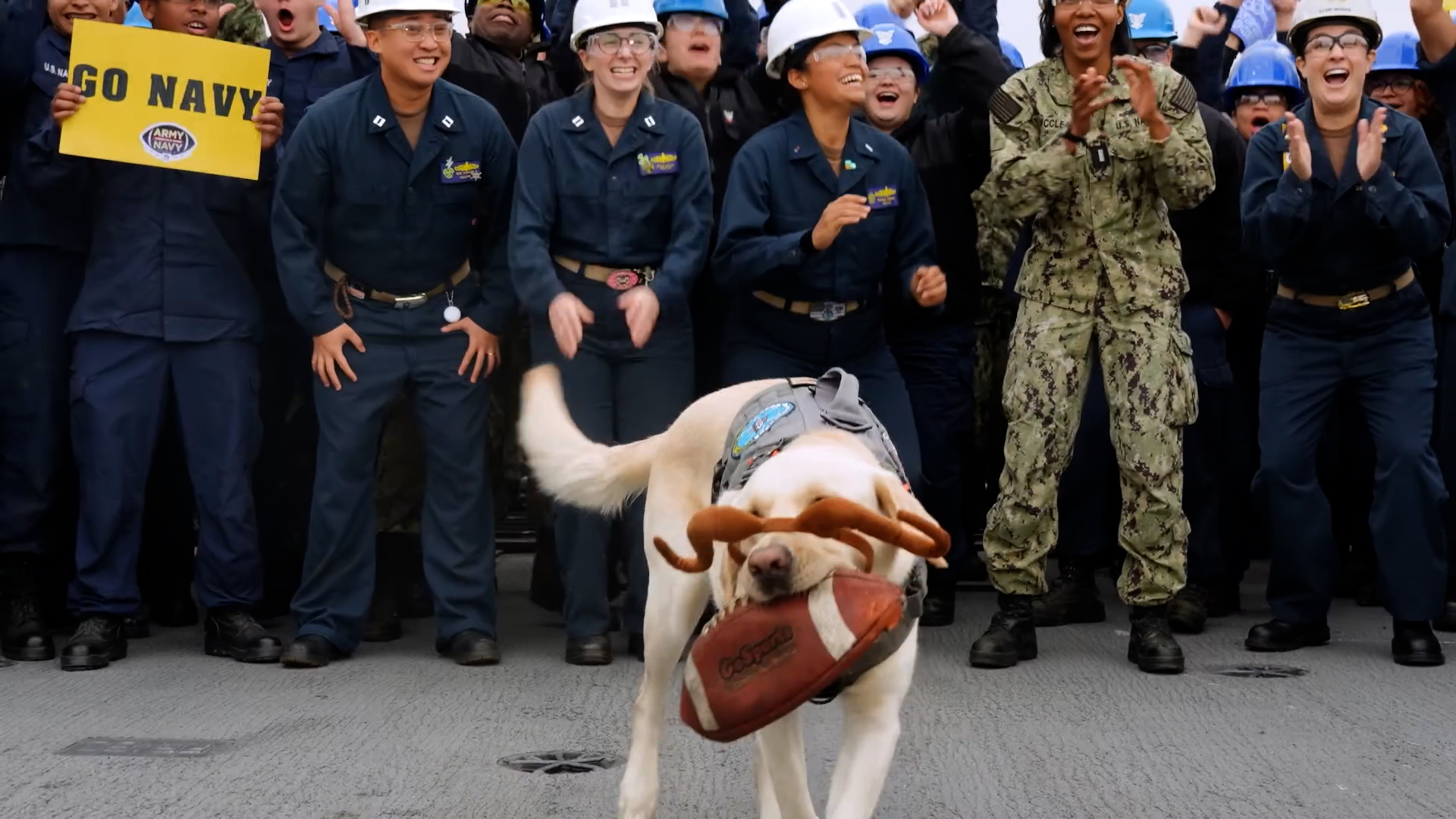 Dog dressed as Billy The Goat catches an American football in his mouth as part of spirit video released ahead of US Army-Navy American football game