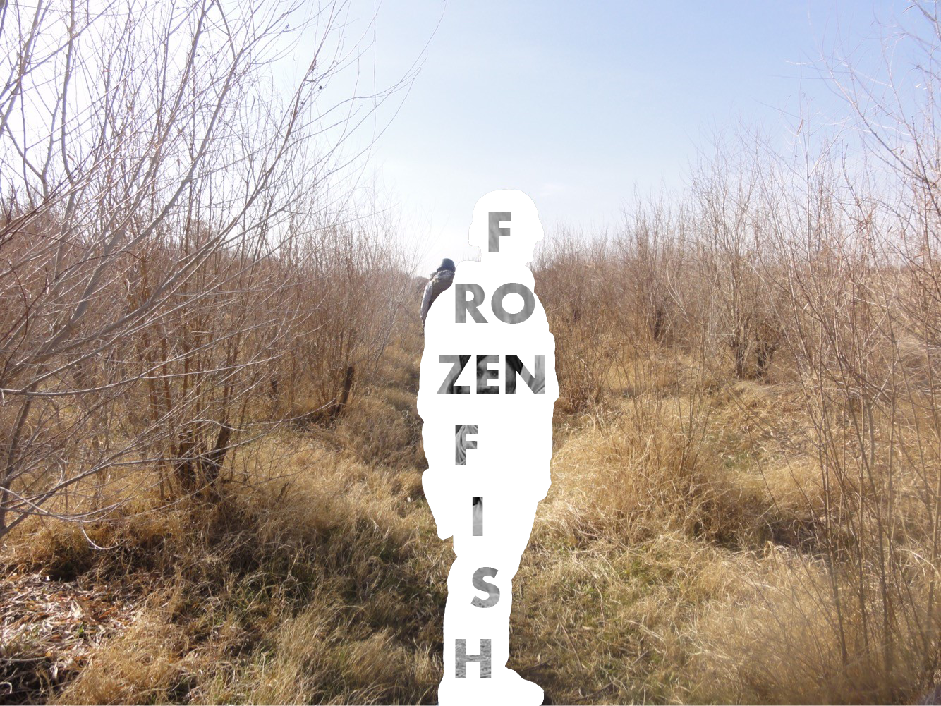 Frozen Fish