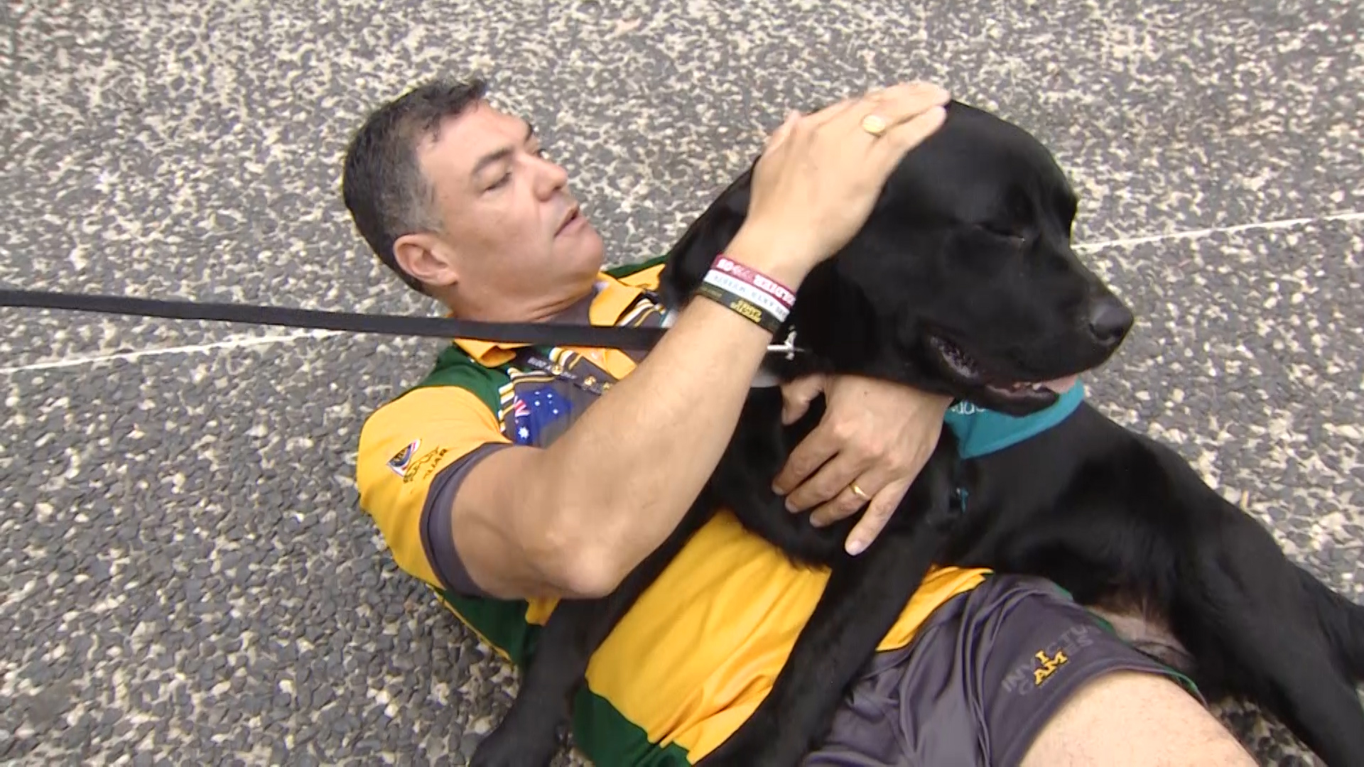 Invictus dogs