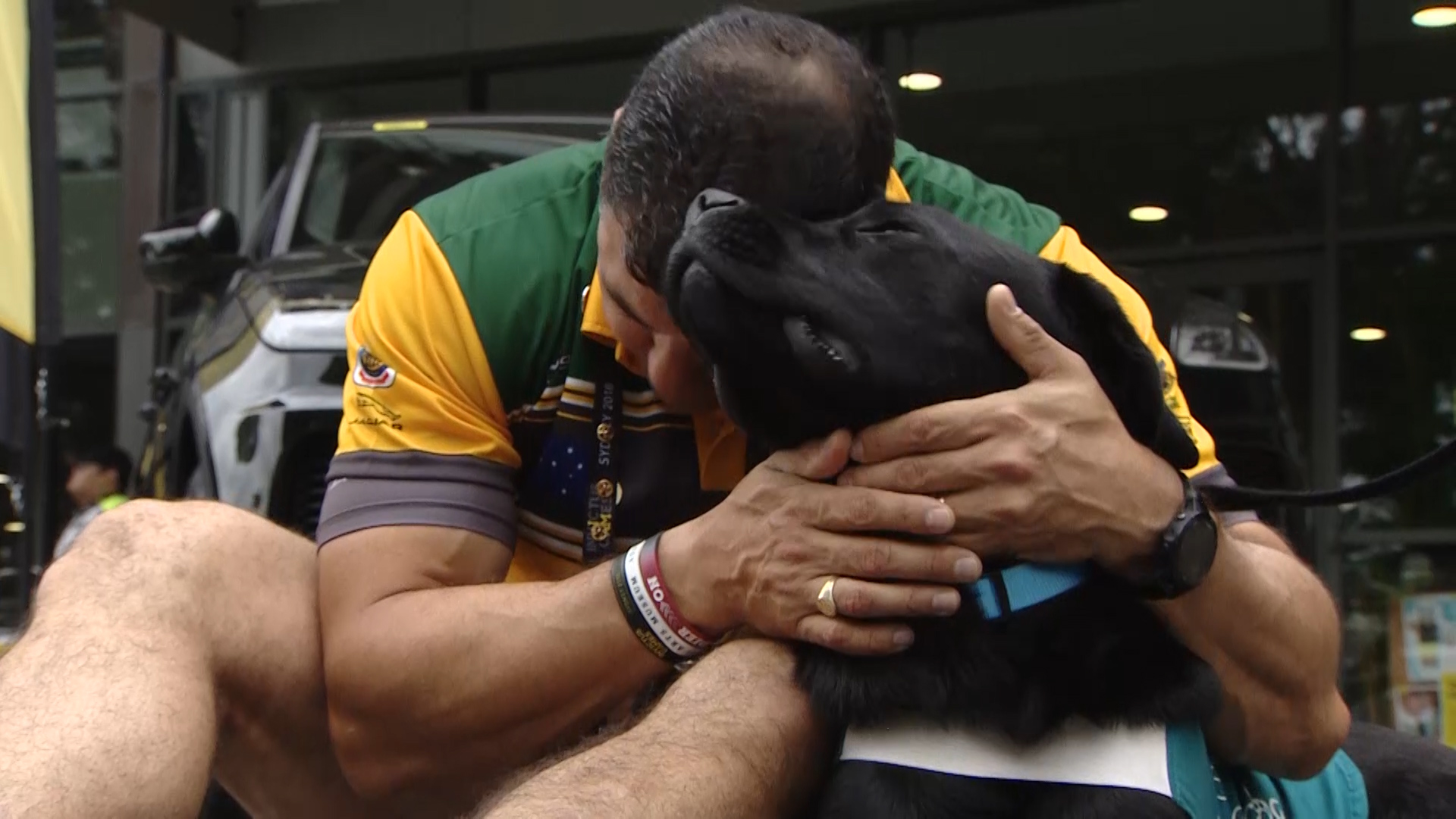 Invictus dogs