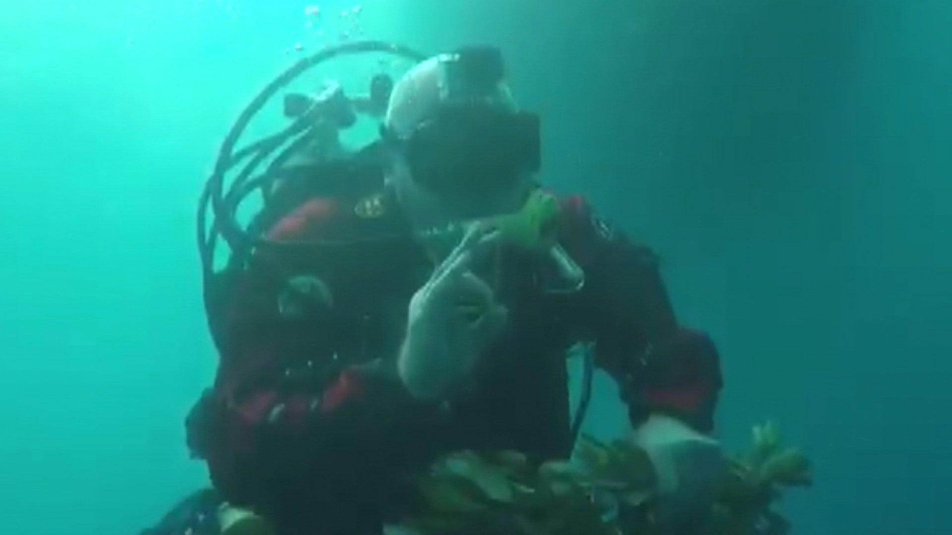 All 'okay', signals one of the divers. 
