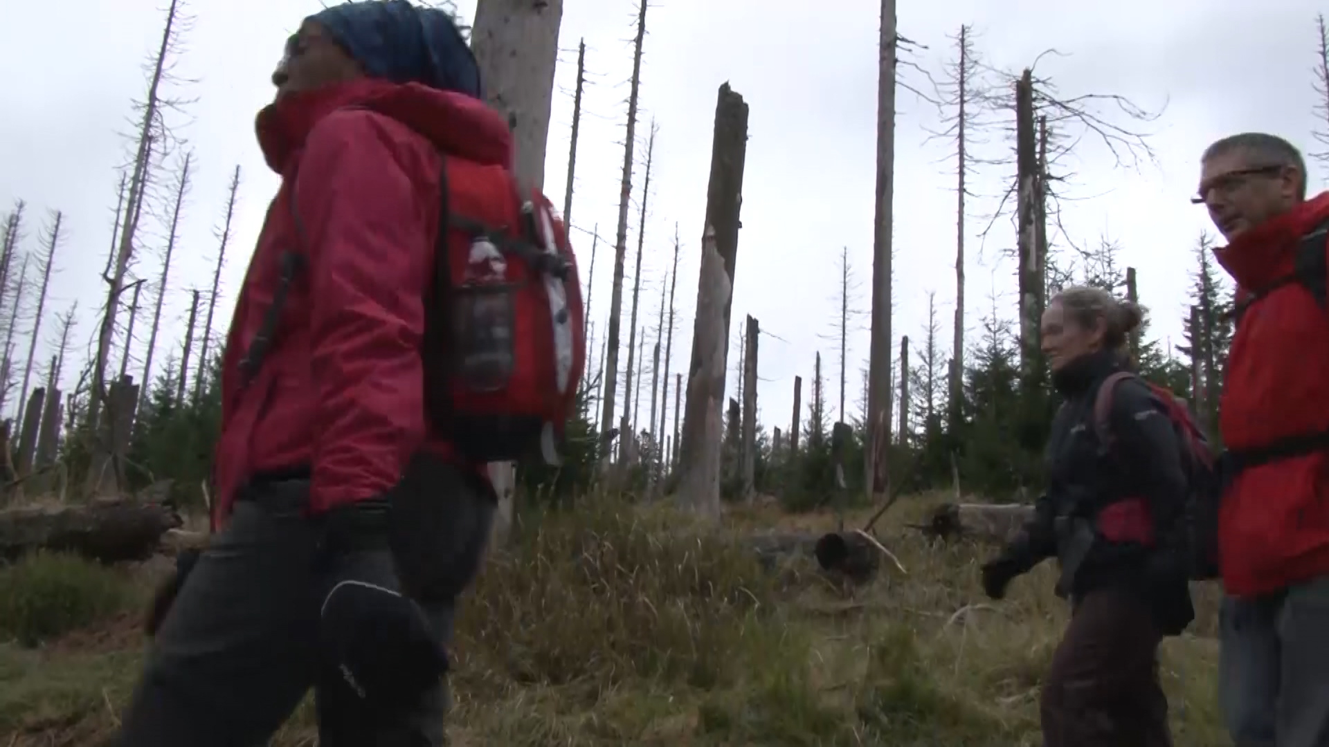 306 Hospital Support Regiment on adventurous training in Germany's Harz Mountains