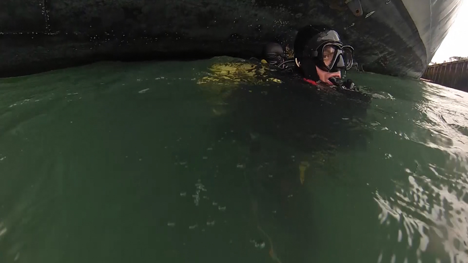 RNR divers