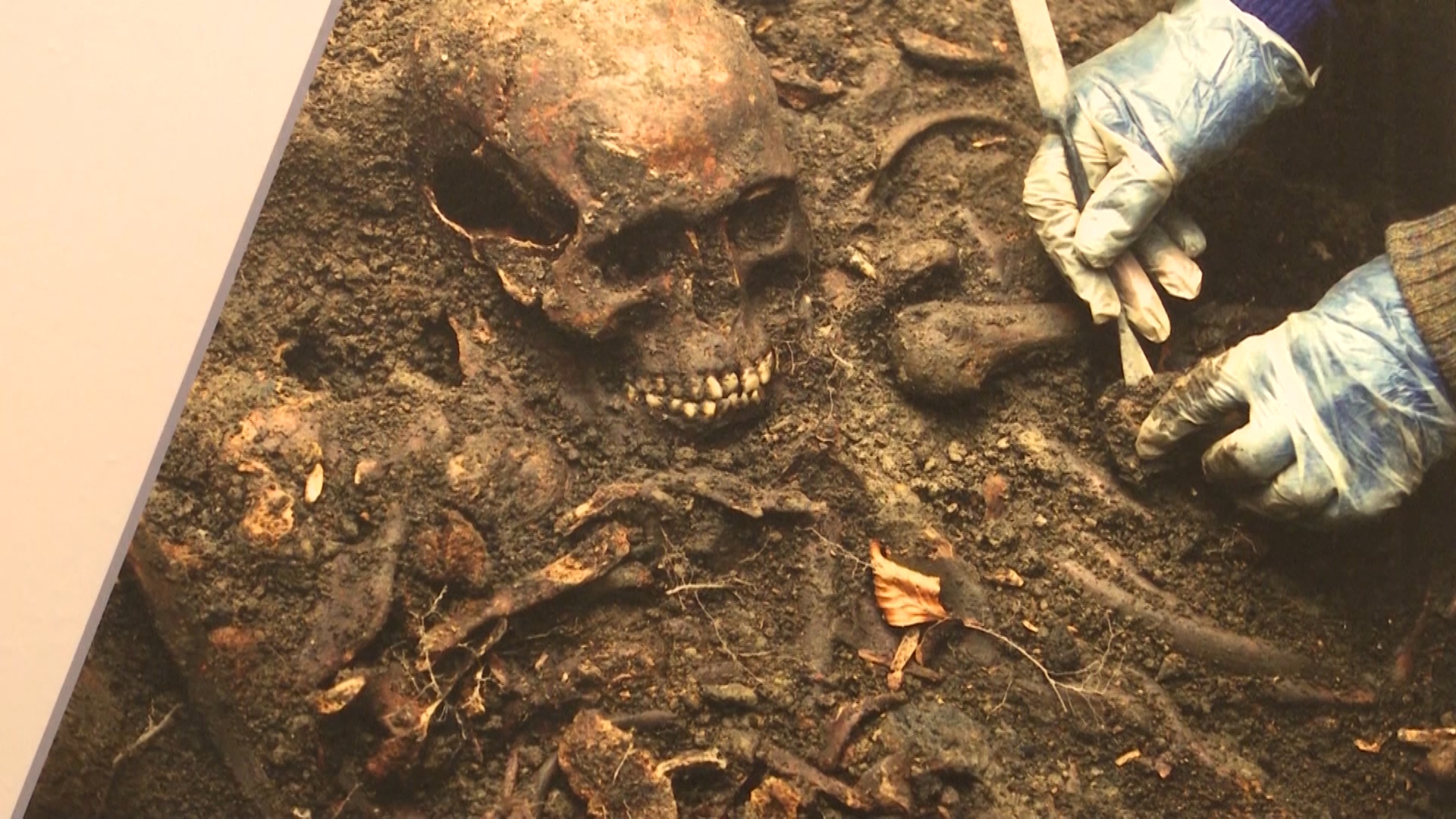 Bodies of Evidence: How Science Unearthed Durham’s Dark Secret