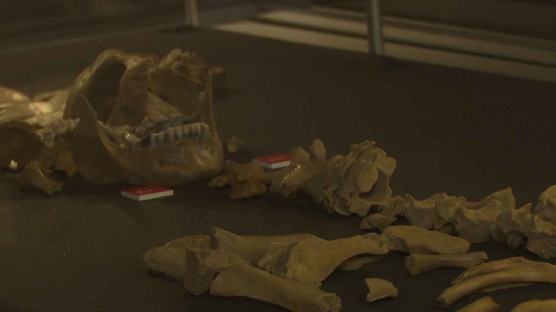 Bodies of Evidence: How Science Unearthed Durham’s Dark Secret