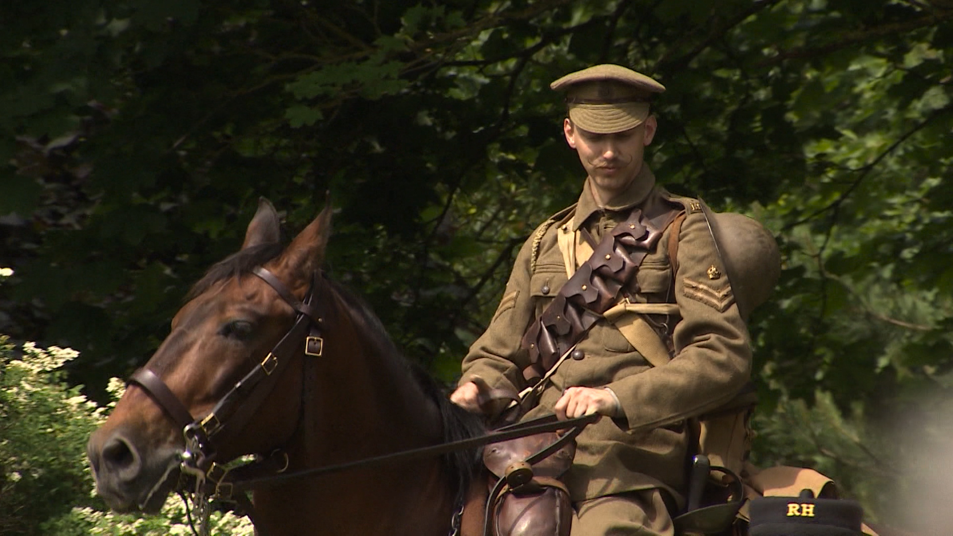 War Horse Ascot