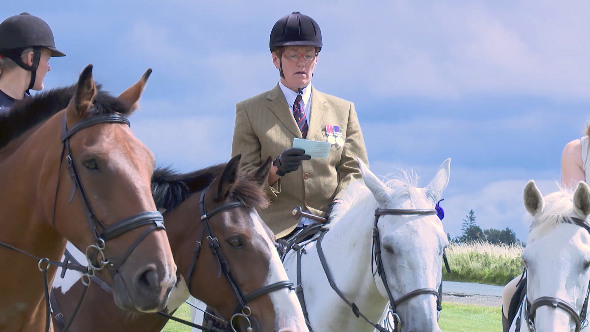 Warhorses Remembered 