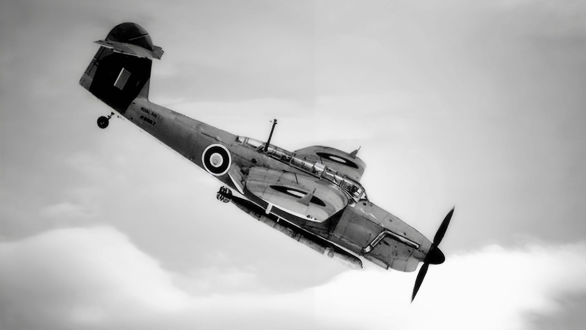 The Barracuda carried out the dual role of torpedo bomber and dive bomber