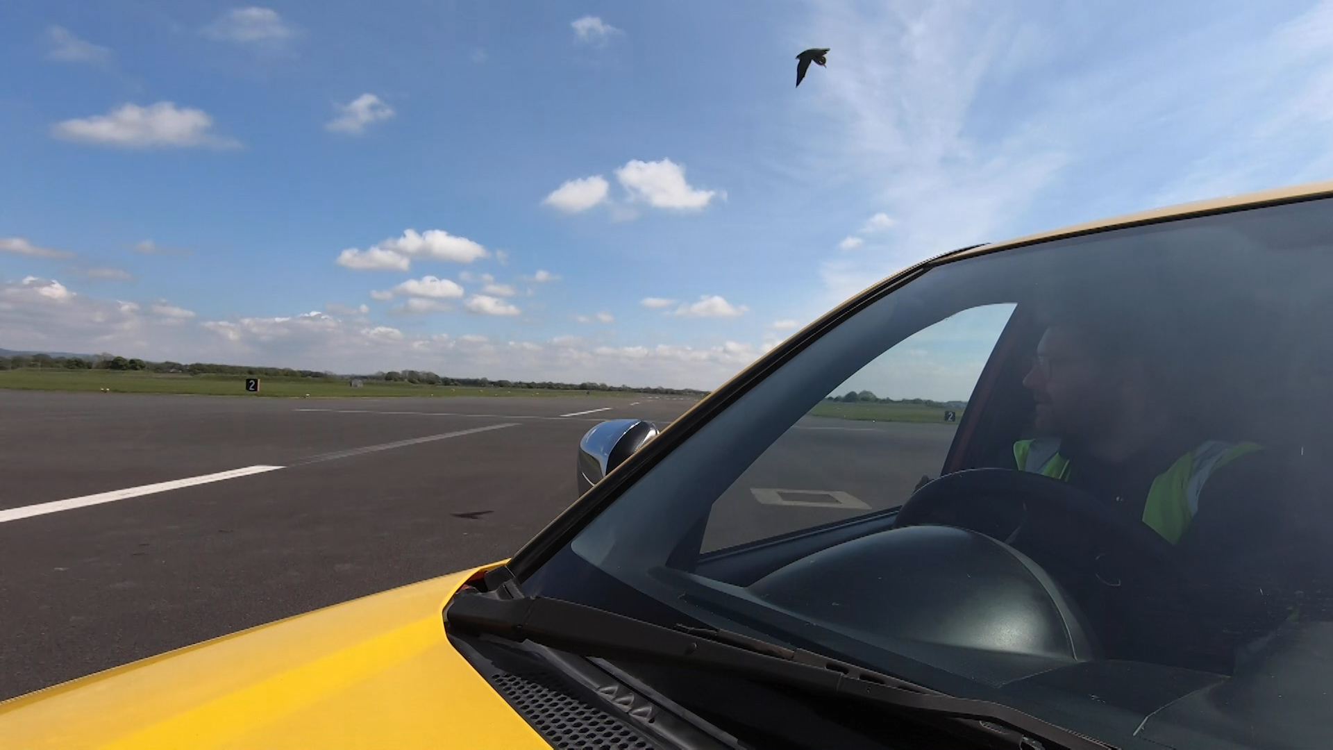 Falcons Protecting Airfields Bird Collisions ALAN MARENGHI PHOENIX BIRD CONTROL K18062021 CREDIT BFBS.jpg