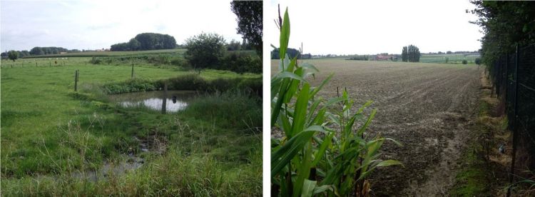 Tyne Cott from the Passchendaele battlefield near Ypres today