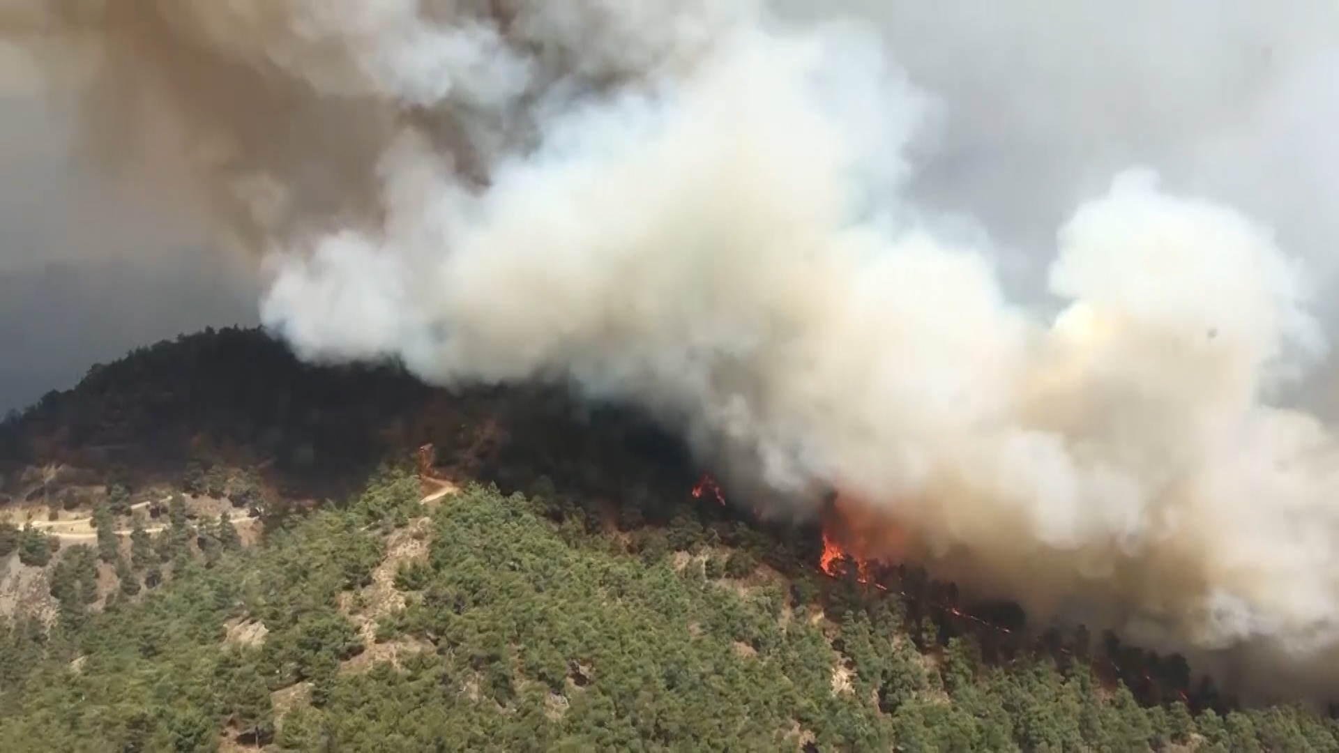 Fires in Cyprus in 2016 were the worst in a decade, burning more than 15 kilometres of land.