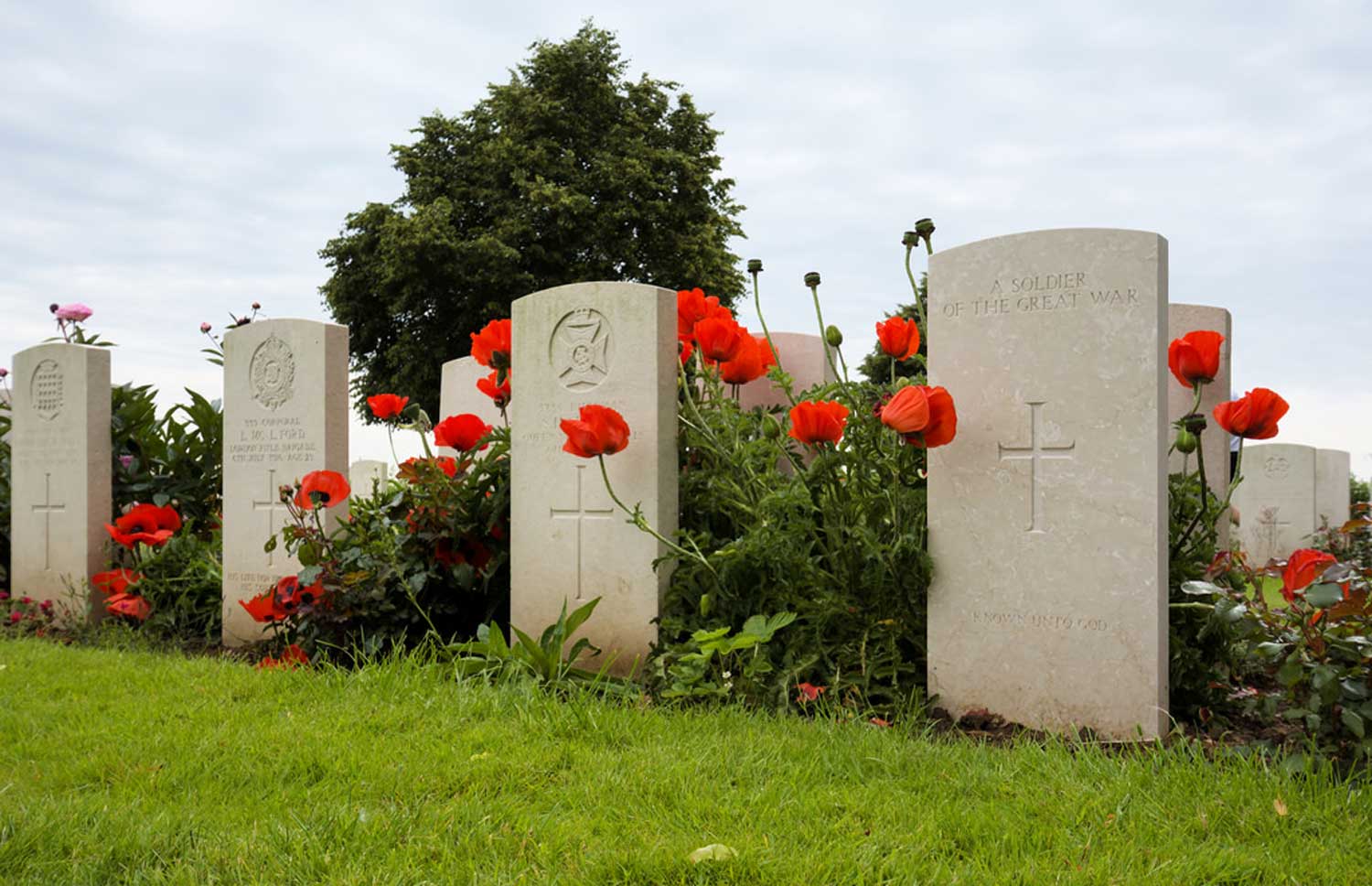 world war one headstones