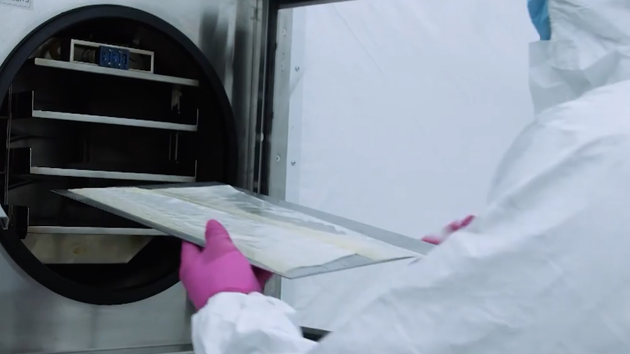Fish skin undergoin a process involving descaling, reduction, freeze drying, and sterilisation CREDIT KERECIS