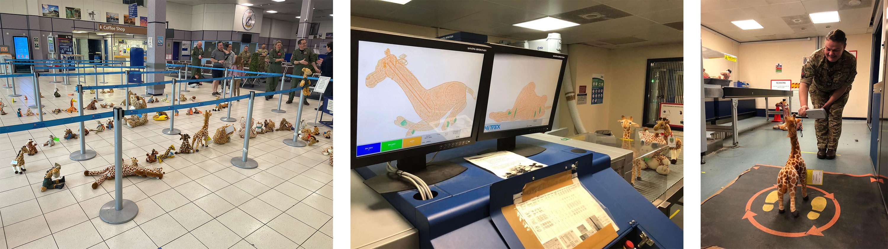 Flight of the Giraffes cuddly toys queue at RAF Brize Norton and then go through the airport scanner CREDIT RAF