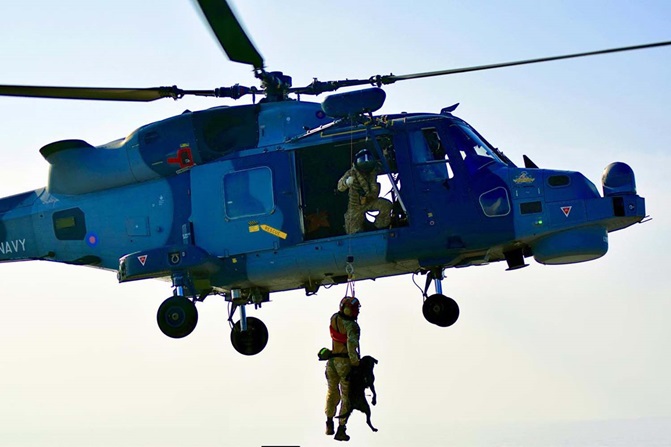 Flying Dogs (Credit: Royal Navy)