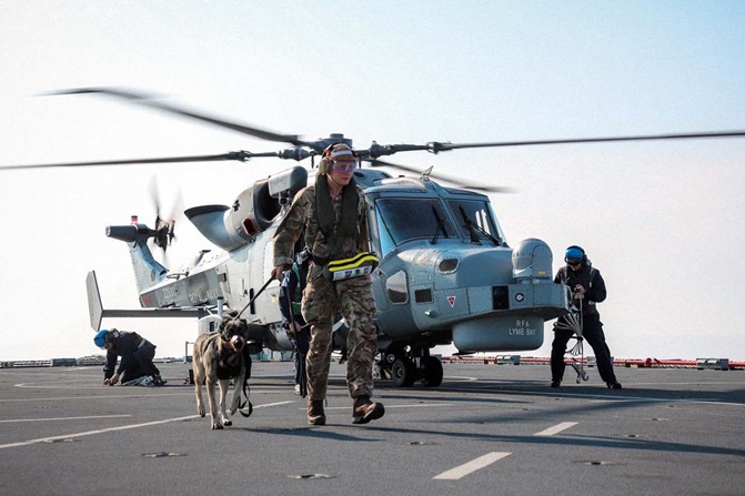 Pearl and Indie were taken on helicopter flights beforehand to acclimatise them to the noise.
