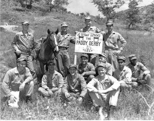American war horse Sergeant Reckless with American troops