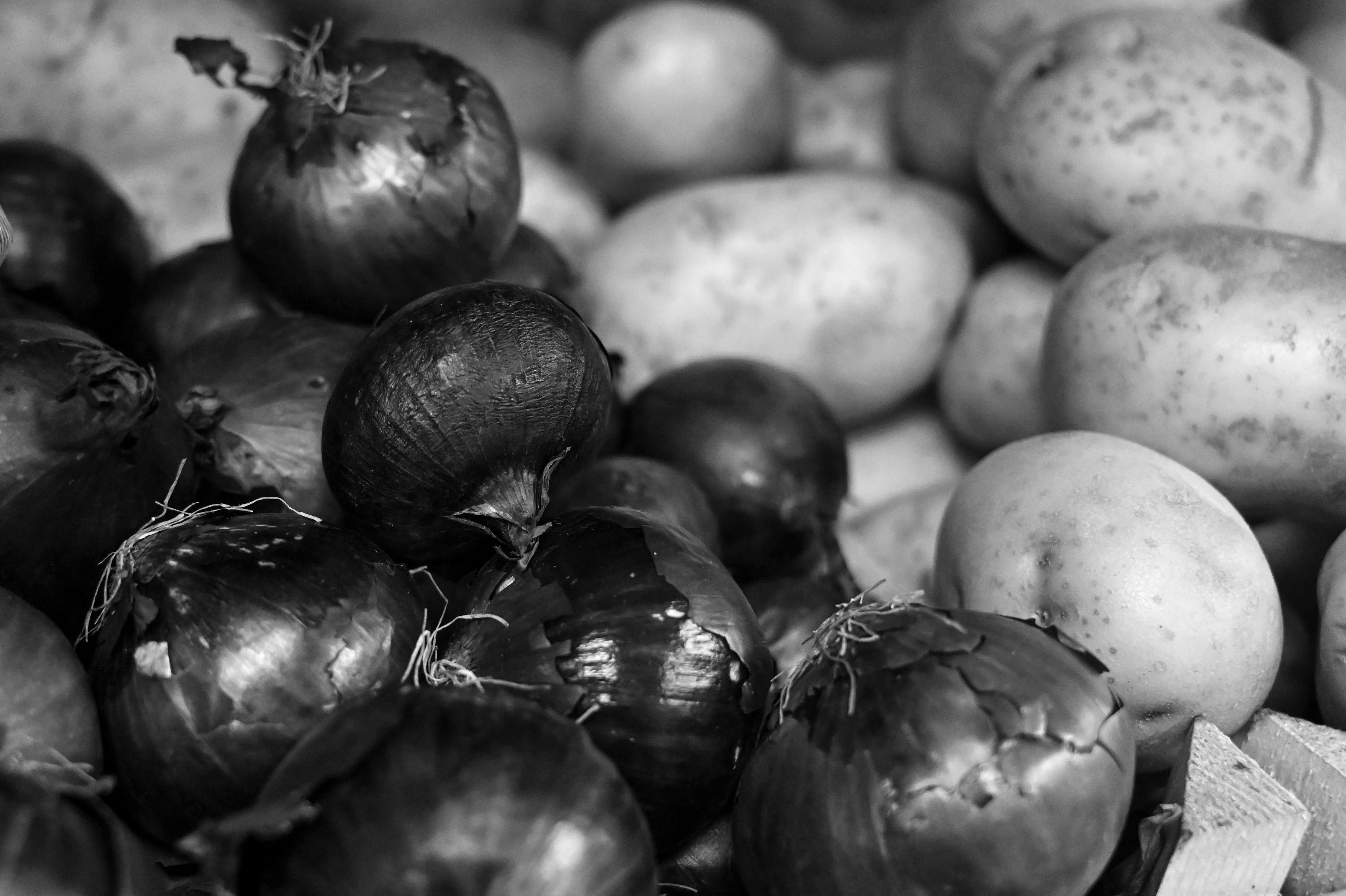 Citizens of many countries at war began to grown their own vegetables. Credit: BFBS