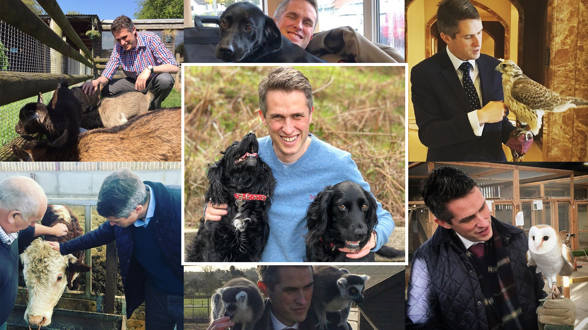 Gavin Williamson pictures with animals from Instagram