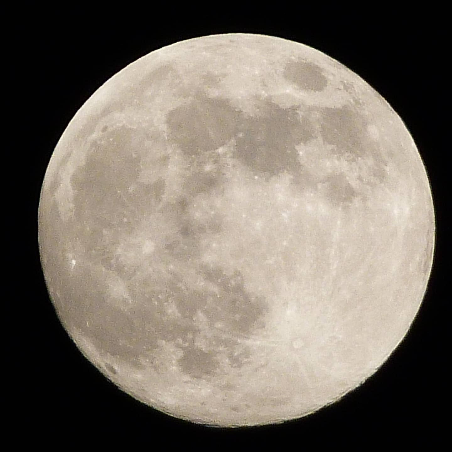 George Allcock Pink Supermoon 1.jpg (do not use again) 