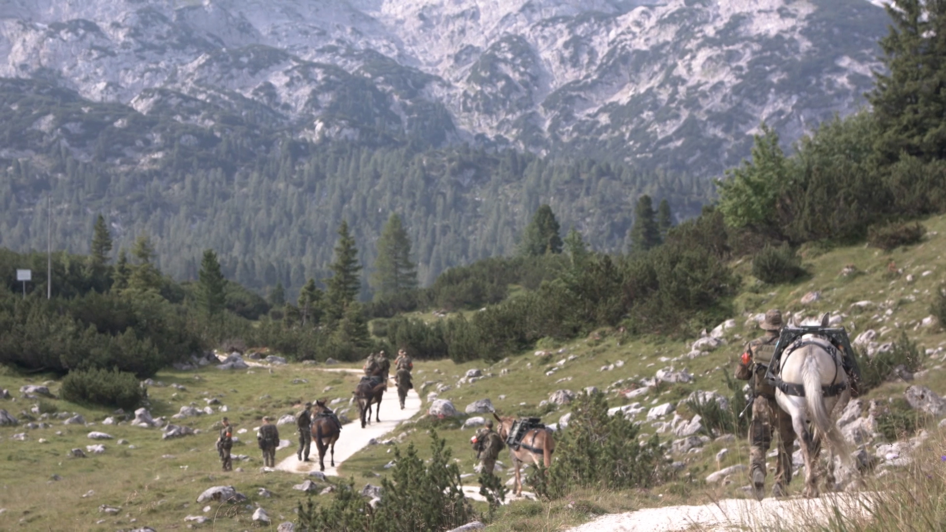 The Alpine landscapes form a stunning backdrop for the brigade (Picture: NATO).