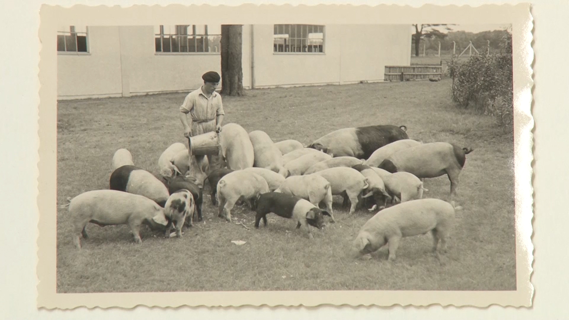 However, some objects are still missing and Dr Blum has launched an appeal: "I’m looking for photos of daily life in the barracks, in the British communities and of Germans working together with the British, especially in the 1970s and 1980s” 'The British in Westphalia' will run in Paderborn from October until February.