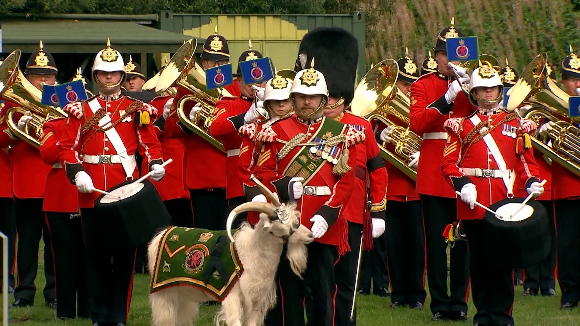 Welsh billy goat Lance Corporal Shenkin IV leads the 3rd Battalion the Royal Welsh, and the Band of the Royal Welsh ahead of the proclamation of King Charles III on September 11.