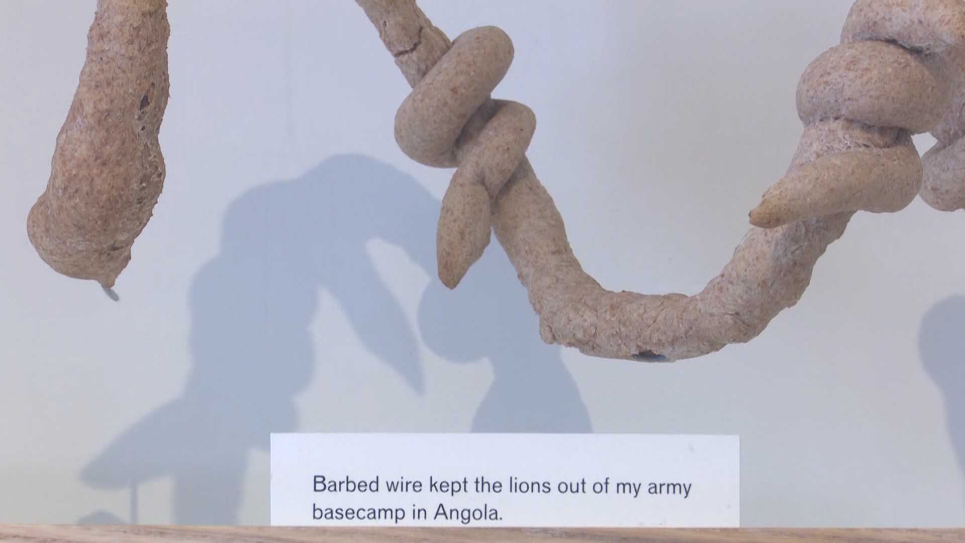 Great and tiny war exhibition
