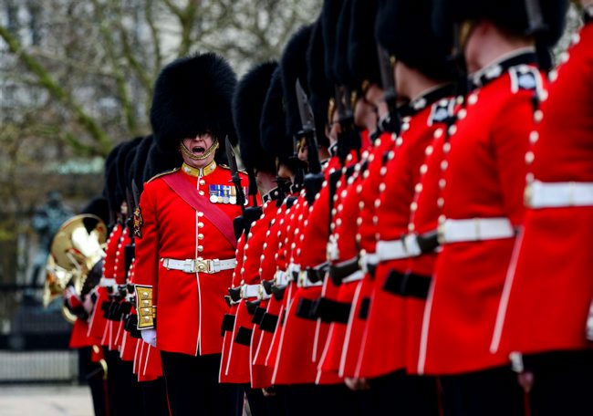 Guards 