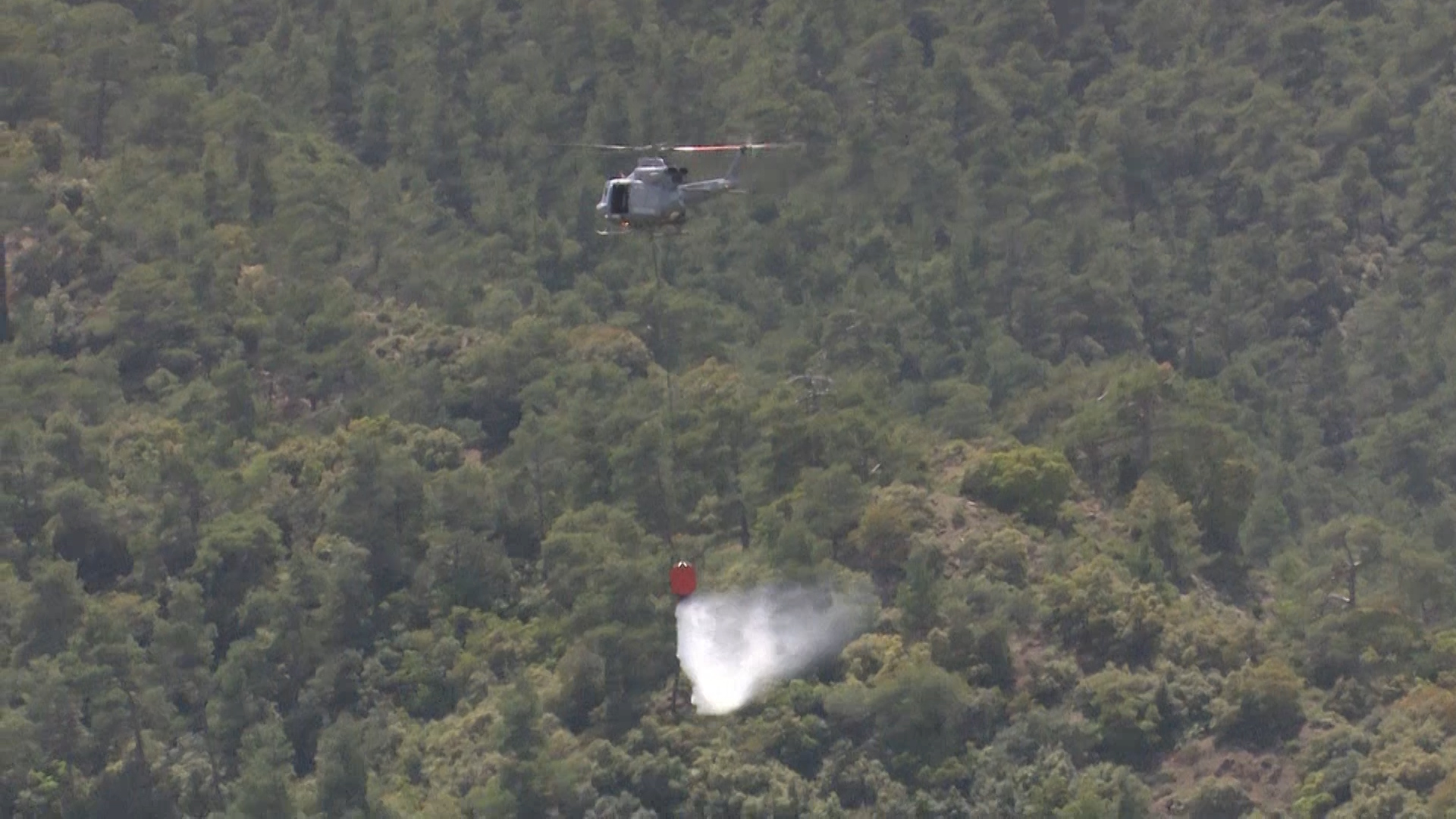 RAF crew dropped water from a reservoir over the simulated fire.