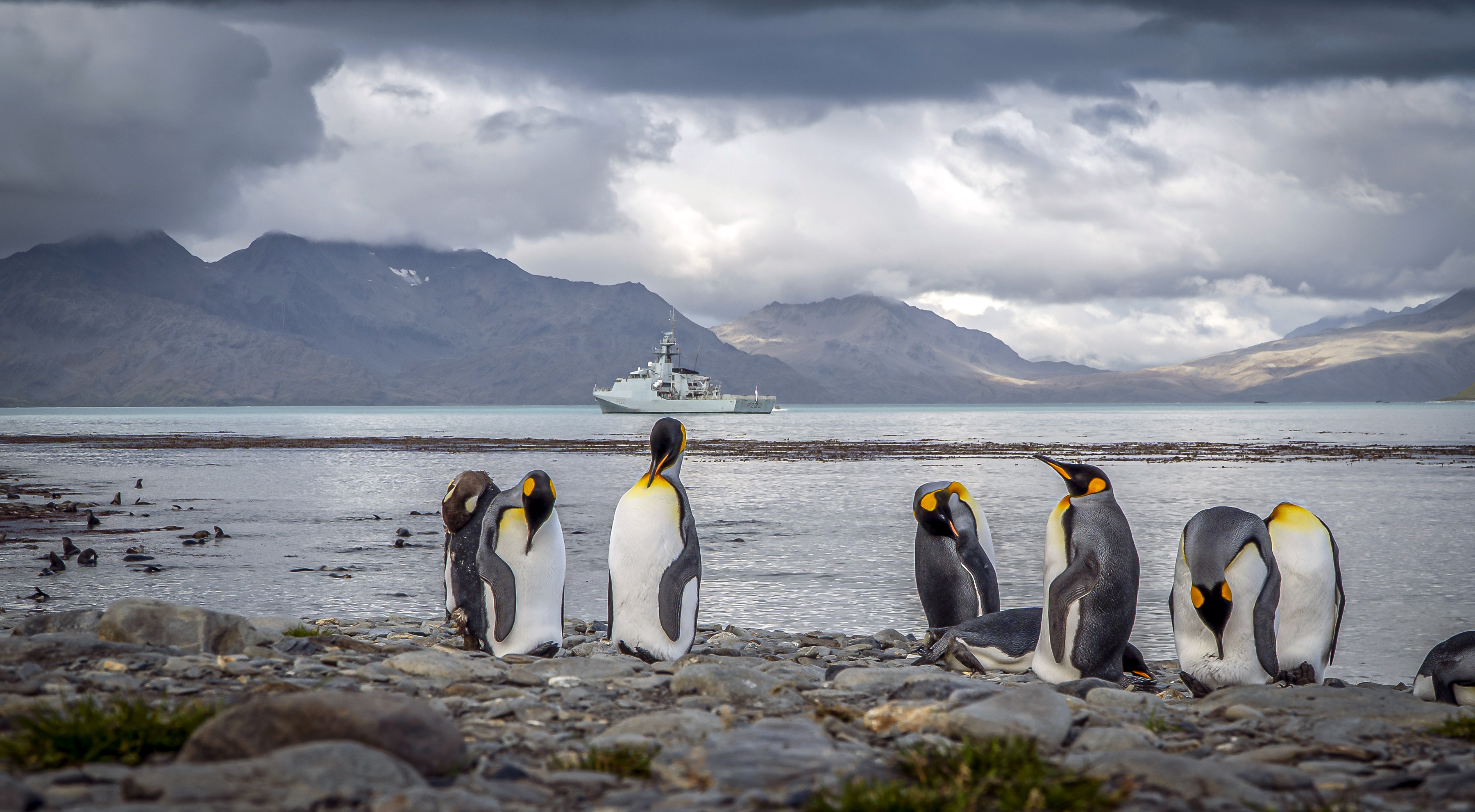 HMS Forth patrolling the waters of South Georgia as local residents look on (Picture: MOD).